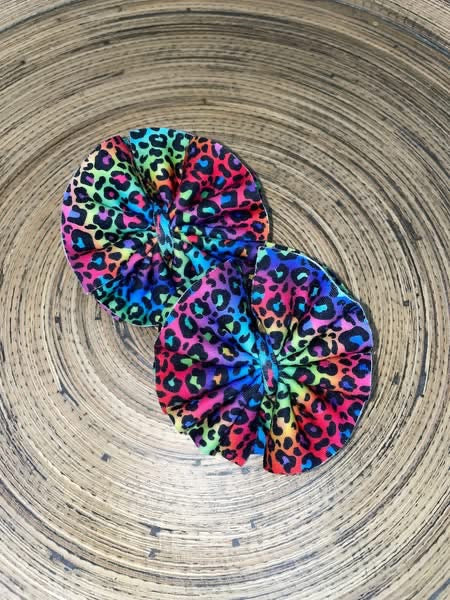 Rainbow Leopard