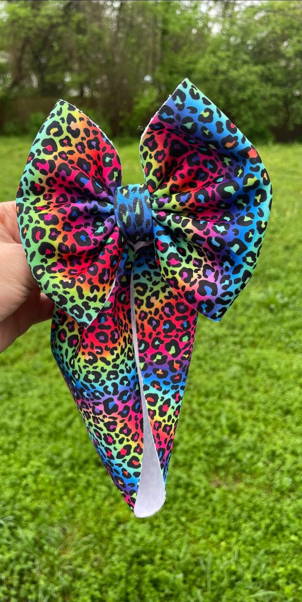 Rainbow Leopard