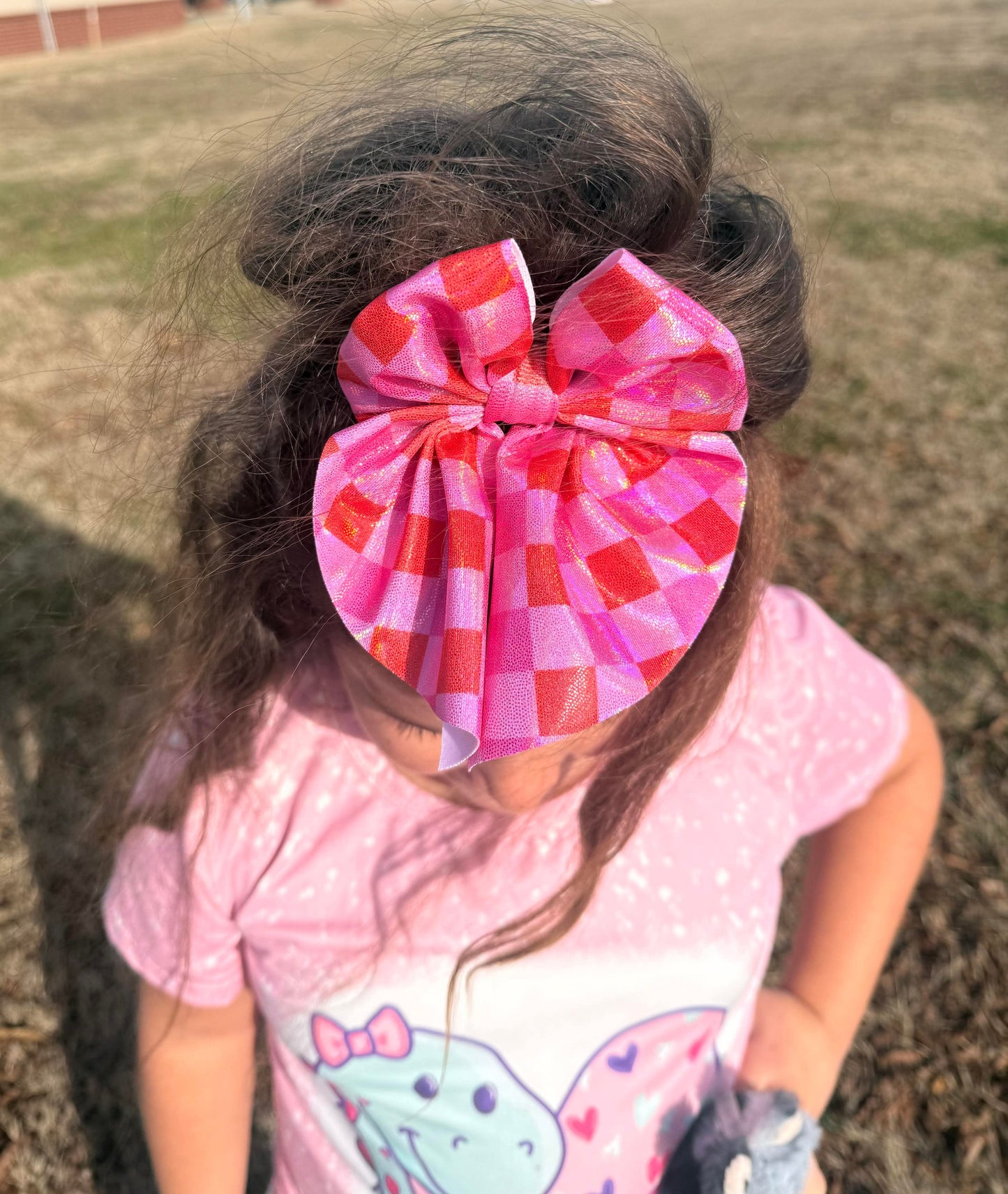 Pink-Red Sparkle Checks