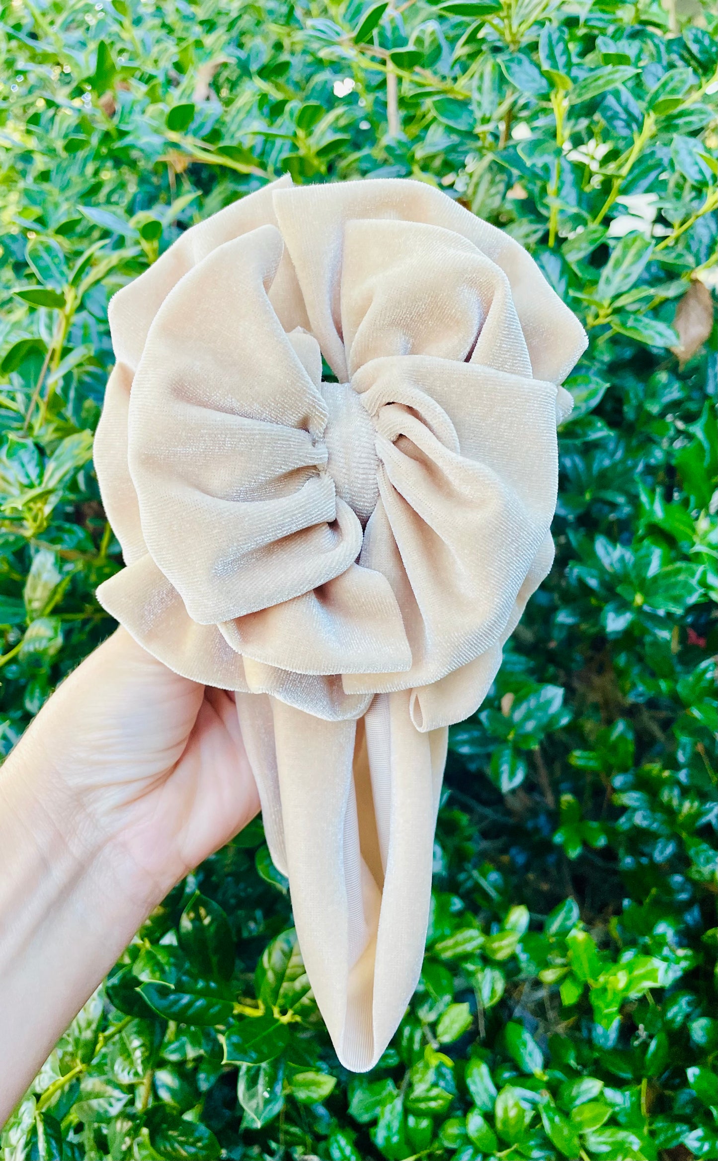 Champaign Velvet